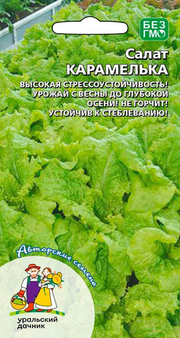 Салат КАРАМЕЛЬКА  Урожай с весны до поздней осени! Не горчит! Устойчив к стеблеванию!