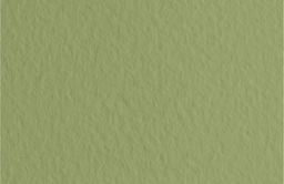Fabriano Бумага для пастели Tiziano 160 г/м2 A1+ 70 х 100 см лист 10 л. Muschio/Оливковый 52811014