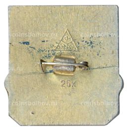 Значок Владимир