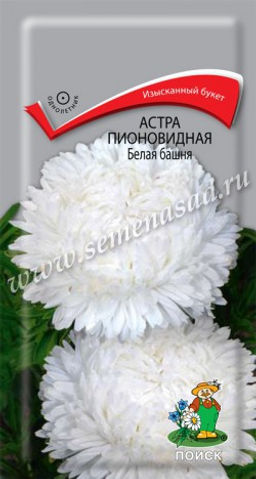 Астра Белая Башня пионовидная 0,3г (Поиск)