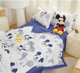 Одеяло подростковое Boris с простыней и наволочками ODBORP44