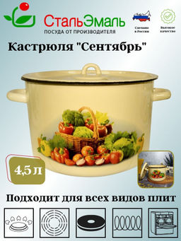 Кастрюля 4.5л 1с17/с крем. Сентябрь