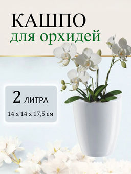 Горшок для цветов "ОРХИДЕЯ" 2л, БЕЛЫЙ (ОРХ 2 БЕЛ) /Крассула/