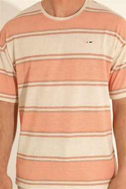 Мужская футболка с лососем - U.s. polo assn фото 14