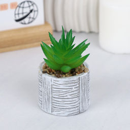 Цветочная композиция Кактус / WER-22 /уп 12/192/ микс - Галеонтрейд фото 14