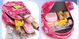 Рюкзак GO-2036-Pink - Ferro фото 7