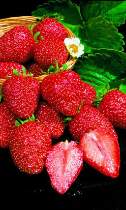 Земляника ГИГАНТО РОССА Ремонтантный, крупноплодный сорт! Ягоды плотные, вкусные, крупные!