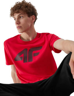 Футболка мужская