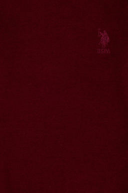 U. S. Polo Assn / Базовый свитер бордово-красного цвета для мальчика - U.s. polo assn фото 9