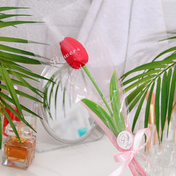 Цена за 2 шт. Мыльный тюльпан, красный