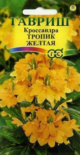 Кроссандра Тропик желтая 3шт. (Гавриш)