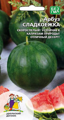 Арбуз СЛАДКОЕЖКА  Скороспелый! Устойчив к капризам погоды! Отличный десерт!