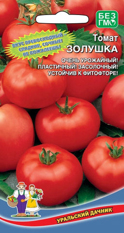 Томат ЗОЛУШКА Пластичный! Очень урожайный! Вкус превосходный: сладкие, сочные, не пожалеешь! Устойчив к фитофторе!