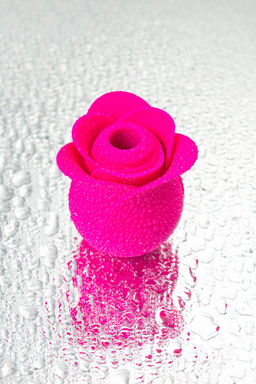 Вакуум-волновой стимулятор клитора Satisfyer Pro 2 Modern Blossom, силикон, розовый, 6,6 см