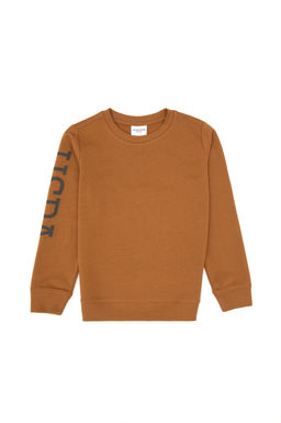 Erkek _ocuk Camel Basic Bisiklet Yaka Sweatshirt Sepette S_rpriz _ndirim - U.s. polo assn фото 2