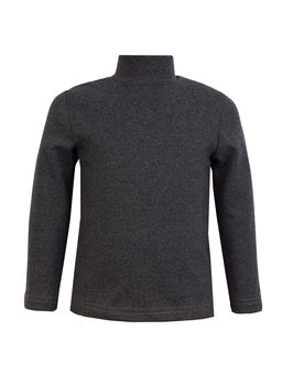 Джемперводолазка серая