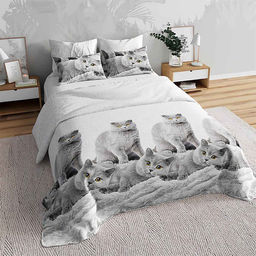 КПБ бязь Премиум - Британцы 2 сп. с Евро простыней (нав.70х70)