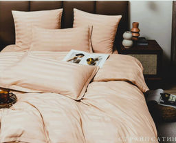 КПБ Boris Страйп-сатин BORSS027 (Бежевый) Евро