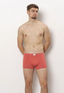 ТРУСЫ МУЖСКИЕ арт. 6523M-40010.1L-538