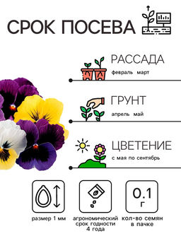 Цена за 2 шт. Семена цветов Виола «Шведские гиганты», 0.1 г, «Рецепты дедушки Никиты»