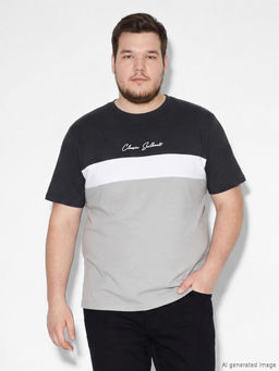 Bisiklet Yaka Renk Bloklu Penye Erkek Ti??rt