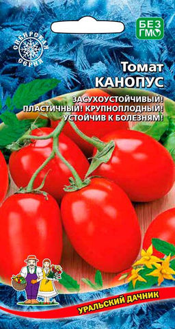 Томат КАНОПУС Сибирская селекция! Засухоустойчивый, пластичный сорт! Массой до 400 г!