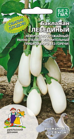 Баклажан ЛЕБЕДИНЫЙ  Невероятно урожайный сорт с обилием плодов! Изумительный грибной вкус! Без горечи!