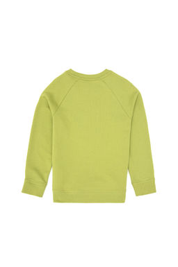 Erkek _ocuk F_st_k Ye_ili Basic Bisiklet Yaka Sweatshirt Sepette S_rpriz _ndirim - U.s. polo assn фото 2