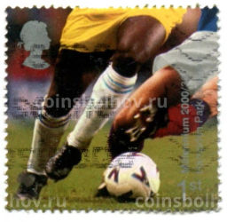 Марка Миллениум  Хамден Парк(Глазго) 2000 год Великобритания