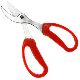 Секатор 16,5см, для цветов, (Россия) - Домашняя мода фото 2