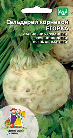 Сельдерей корневой ЕГОРКА  Стабильно урожайный! Крупноплодный! Очень ароматный!