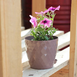 Цена за 3 шт. Горшок для цветов пластиковый 1,5л d-14см "Румба" с поддоном мокко