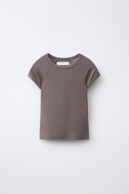 CAMISETA LISA ALGOD?N Y MODAL / Marr?n / Topo