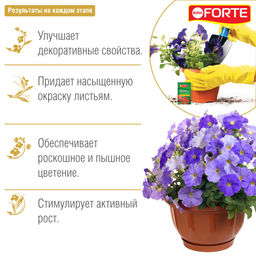 Компл. мин. удобр. Bona Forte Красота Для всех комнатных растений амп.10мл - Лето фото 2