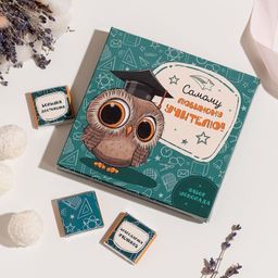 Набор 9 шоколадок "Самому любимому учителю (совенок)"