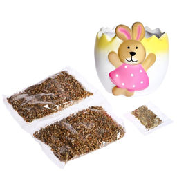 Набор для опытов Выращиваем травку, зайка - Эврики фото 3