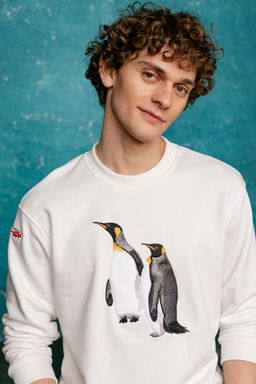 Свитшот мужской Penguins