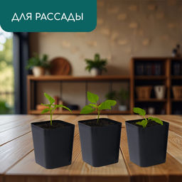 Цена за 20 шт. Горшок для рассады, 300 мл, 7.5×7.5×7.5 см, пластик, чёрный, Greengo