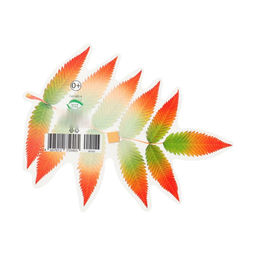 Цена за 10 шт. Украшение на скотче «Лист рябины» красный, зелёный, 18×18 см