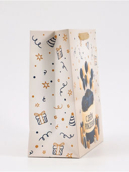 Цена за 2 шт. Пакет подарочный «С Днём рождения. Торт машинка», 23×27×11.5 см