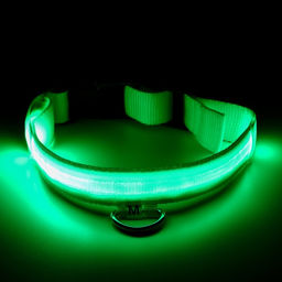 Ошейник с подсветкой, зарядка от USB, размер M, ОШ 37-46 см, 3 режима, зелёный - Пижон фото 7