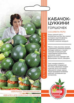 Кабачок ГОРШОЧЕК коллекция Татьяны Штайнерт  Авторская селекция