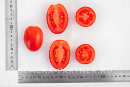 Томат Везувий - Партнер фото 6