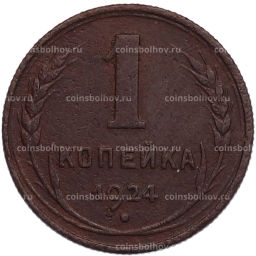 Монета 1 копейка 1924 года