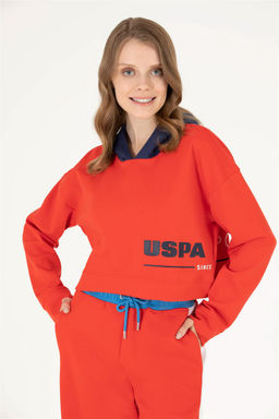 Женская красная толстовка с капюшоном Неожиданная скидка в корзине - U.s. polo assn фото 2