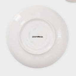 Сервиз чайный Доляна Пташка, 12 предметов: 6 чашек 250 мл, 6 блюдец d=15 см, фарфор, белый