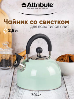 Чайник наплитный VELVET 2.5л со свистком - Attribute фото 14
