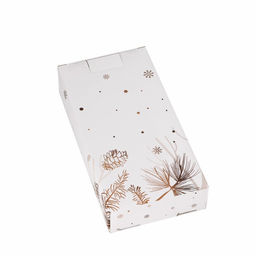 Менажница 2 ячейки Доляна «Дед Мороз и олени», 19,8×9,7×3 см, цвет белый