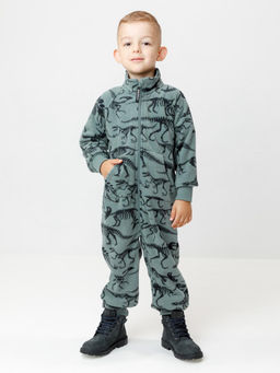 ФЛ 60005/н/10 ГР комбинезон дет