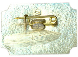 Значок Санкт-Петербург Дворец-музей А.Д.Меншикова